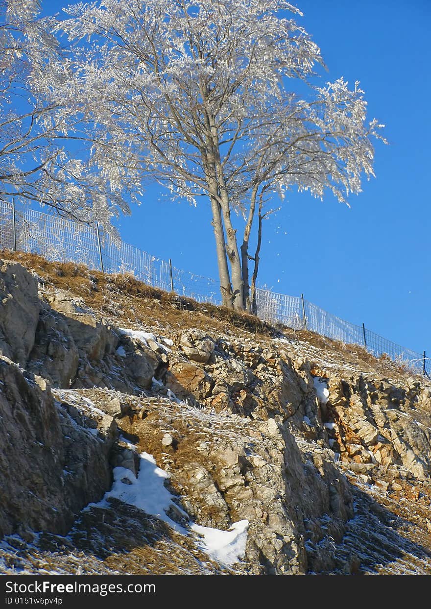 Side of the highway, natural stone wall with fence, sunlit tree on the hilltop under scarse snow, clear blue sky background;
view through the passenger window. Side of the highway, natural stone wall with fence, sunlit tree on the hilltop under scarse snow, clear blue sky background;
view through the passenger window