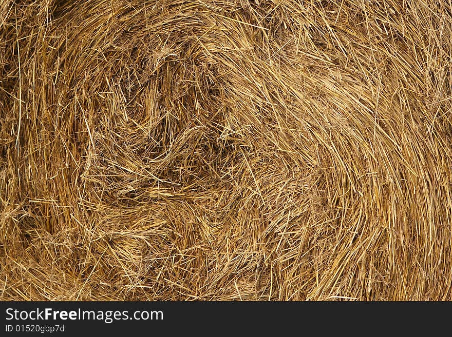 A golden dry straw background