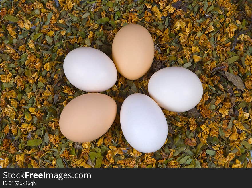 Eggs