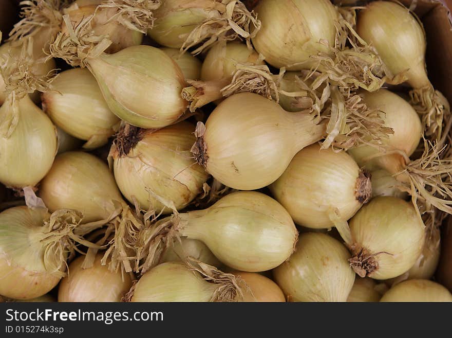 Onion Background