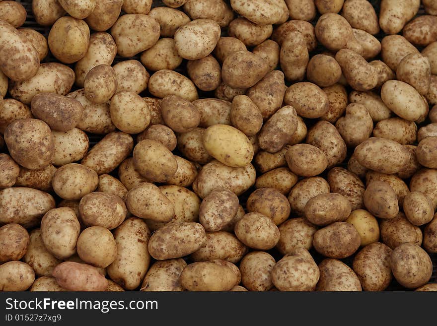 Potato background