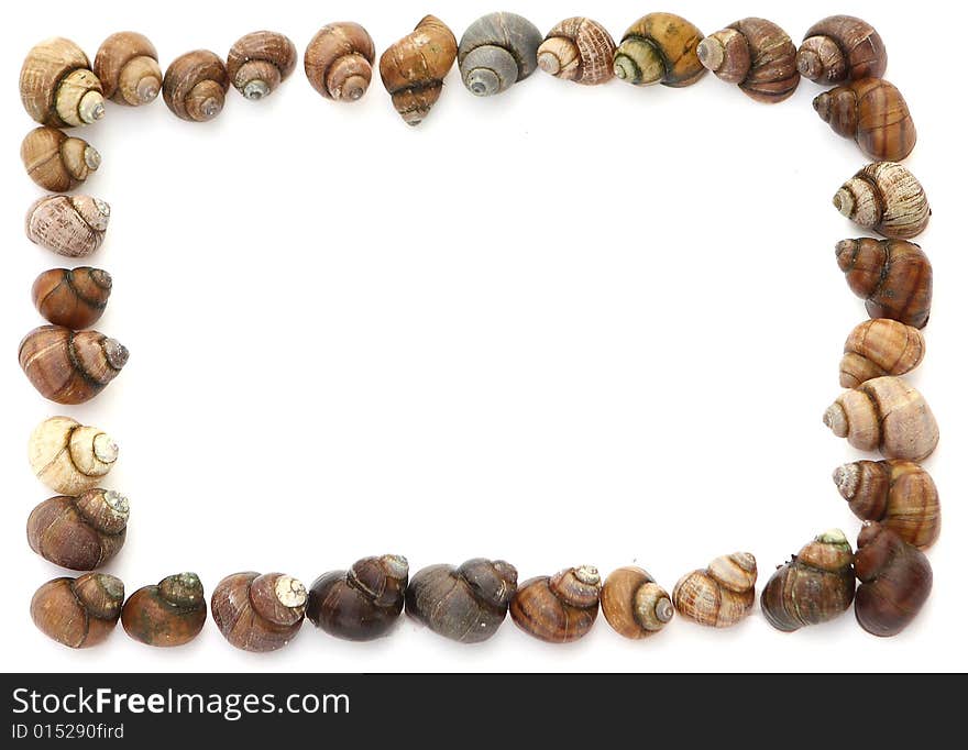 Seashell frame on white background