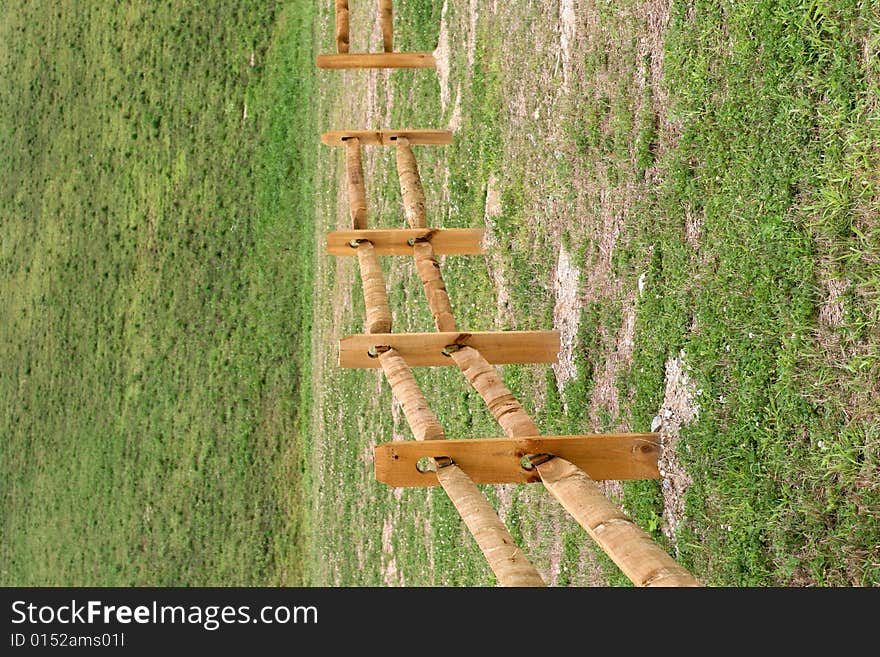 Wooden fence and a green grass