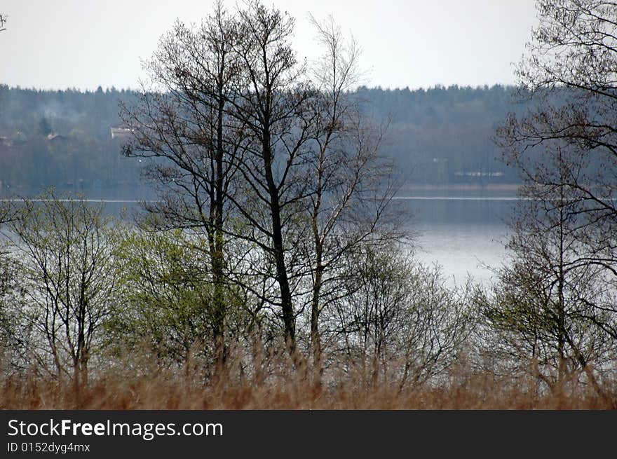 Lake in spring