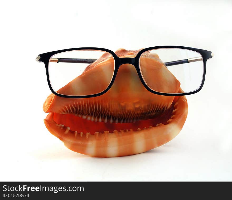 Seashell in eyeglasses