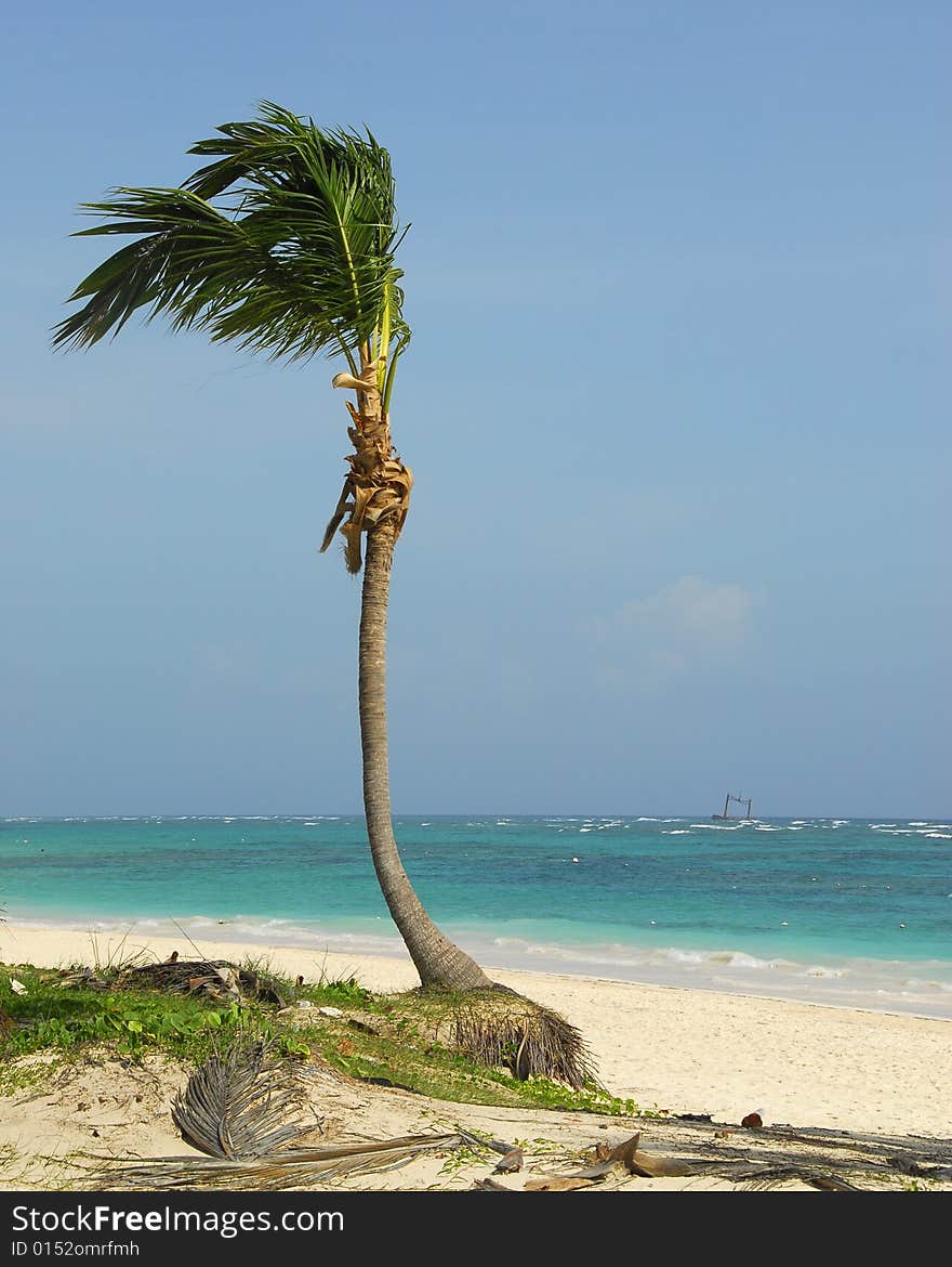 Bavaro Beach in Punta Cana, Dominican republic. Bavaro Beach in Punta Cana, Dominican republic