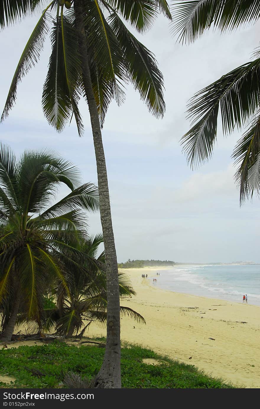 Macau Beach - Punta Cana