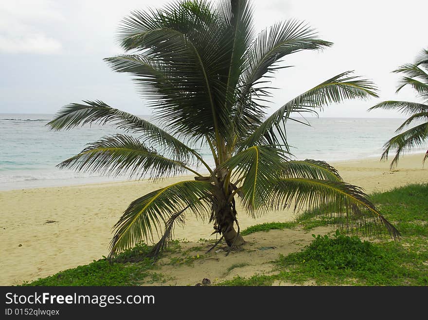 Macau Beach