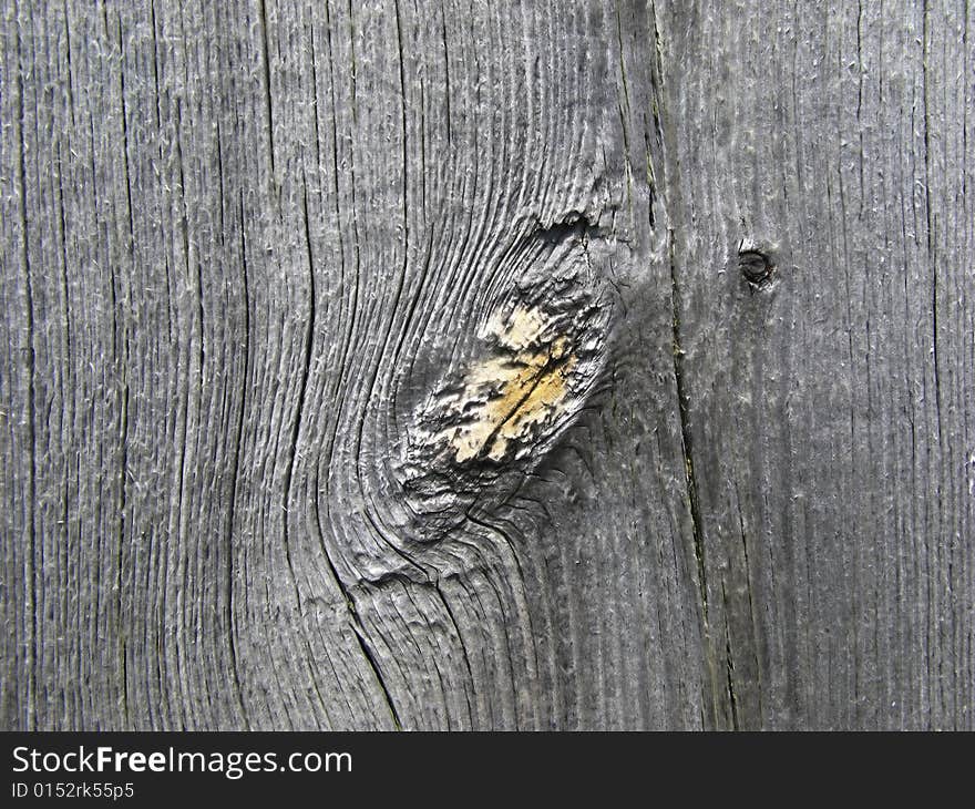 Surface of  wooden board covered by  daylight