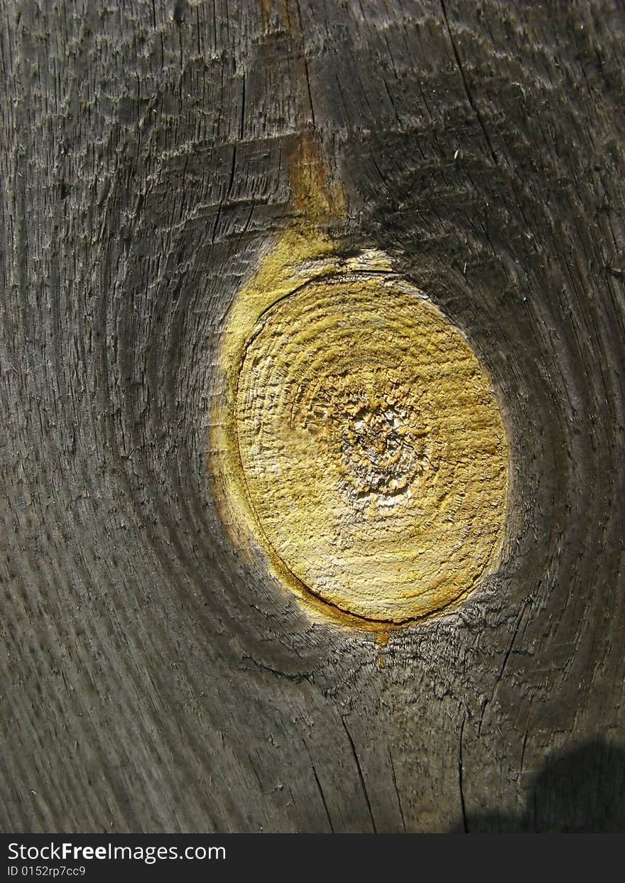 Surface of  wooden board covered by  daylight