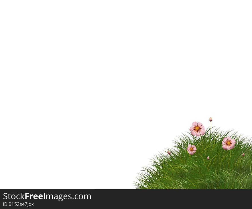 Flowers on white background fon