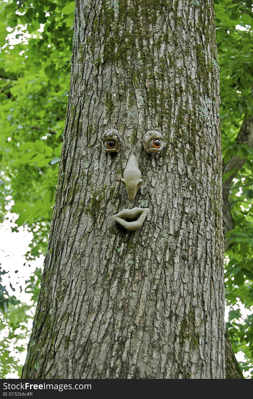 Tree in park with artificial face. Tree in park with artificial face