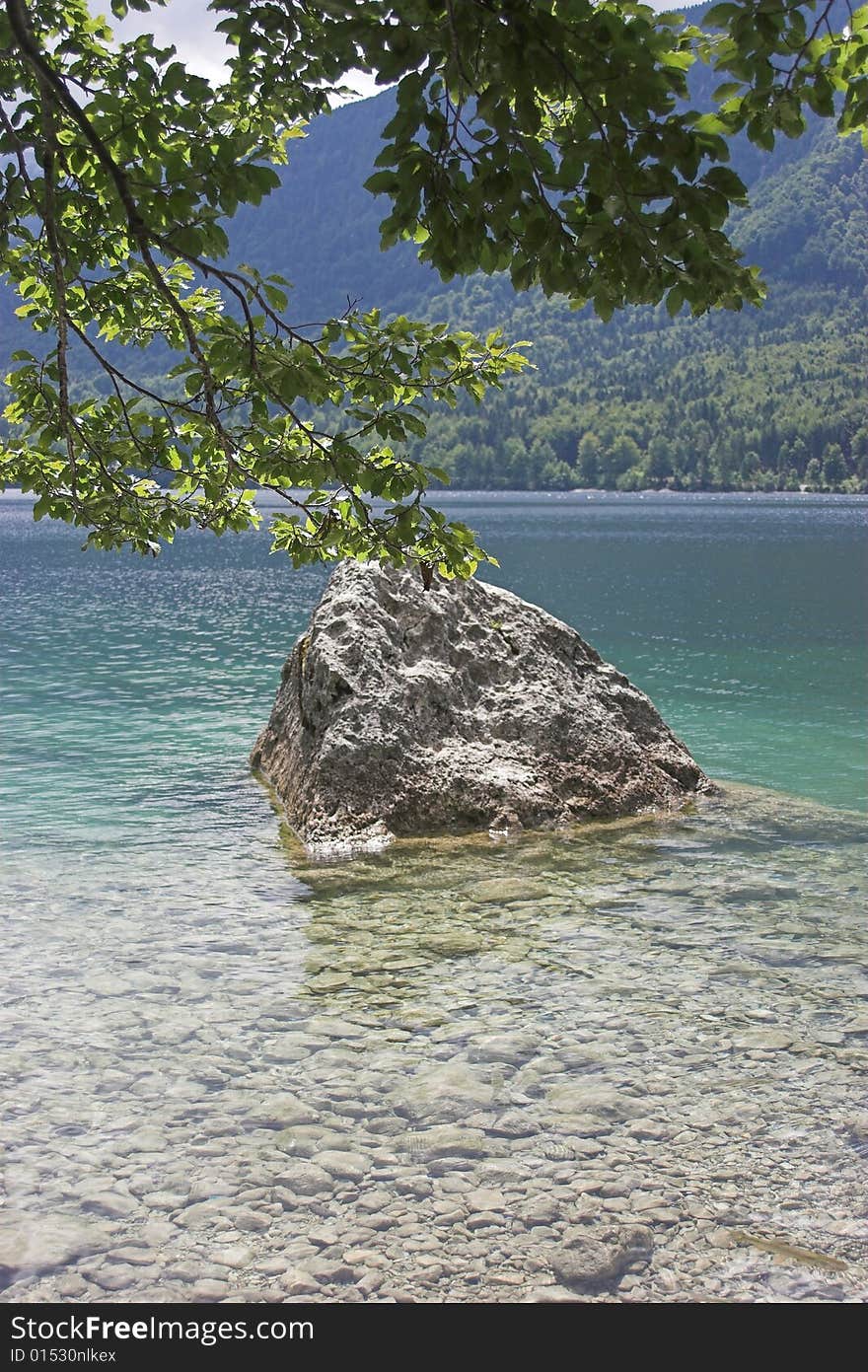 Rock In Lake Bohinj