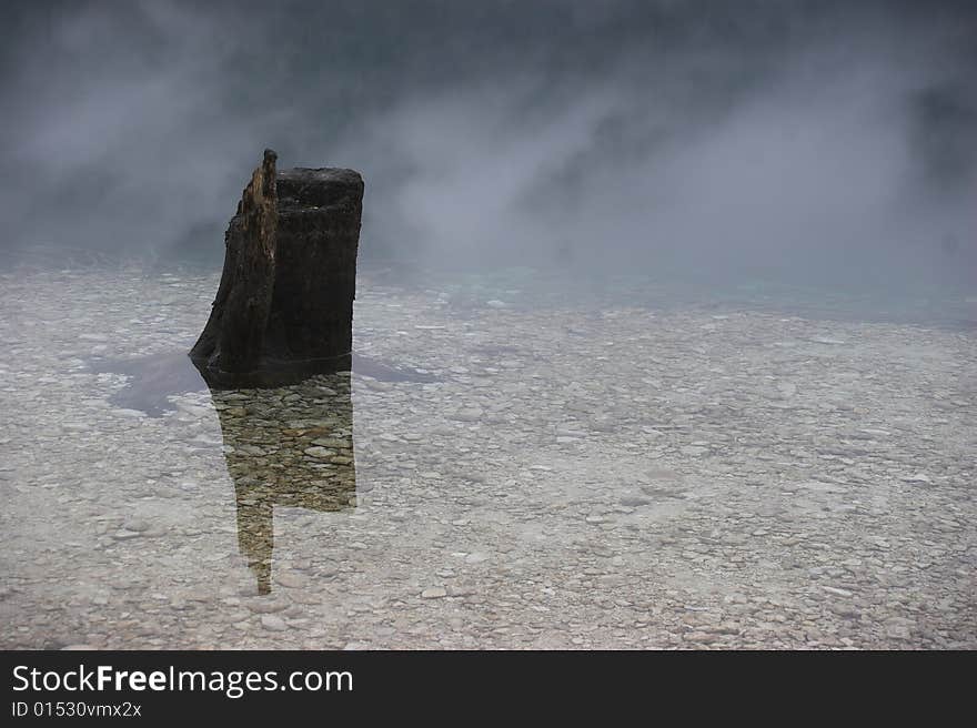 Stump in lake Bohinj