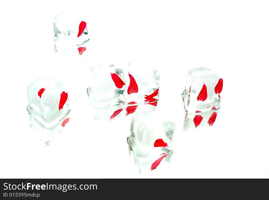 Head in ice cube on white background. Head in ice cube on white background