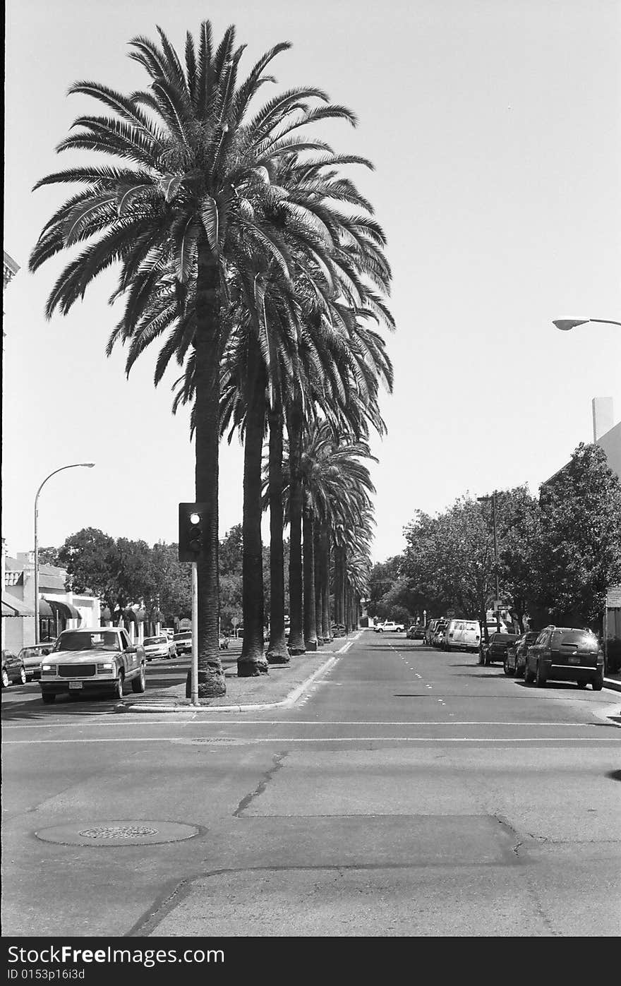 This Tree lined street is located in the heart of downtown Merched. This Tree lined street is located in the heart of downtown Merched.