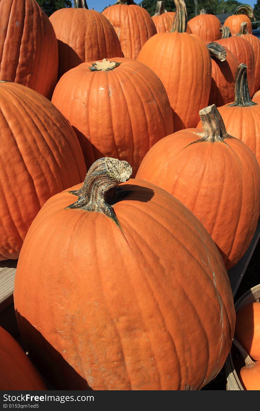 Pumpkins at a roadside farm stand