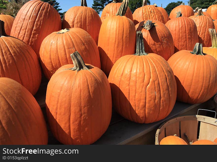 Pumpkins at a roadside farm stand