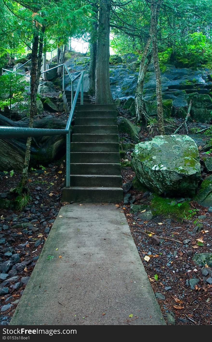 A concrete path and stairs makes it's way through the woods. A concrete path and stairs makes it's way through the woods.