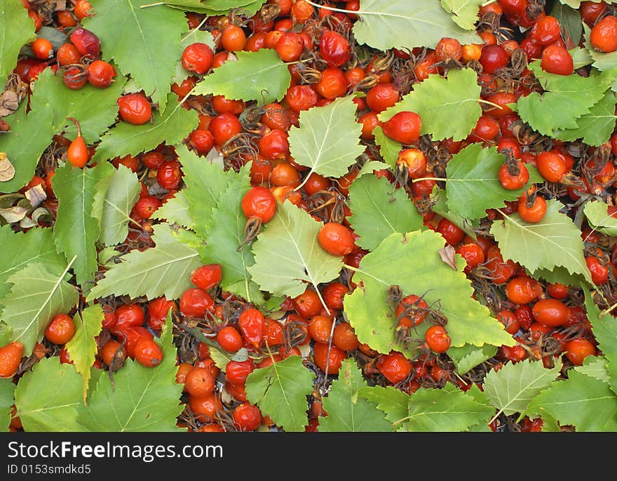 Leaves with Fruits Preserves: Blackberry.