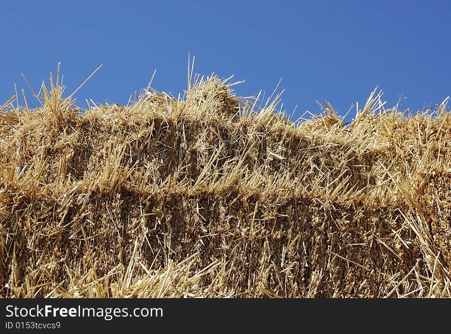 Bales of hay and blue sky