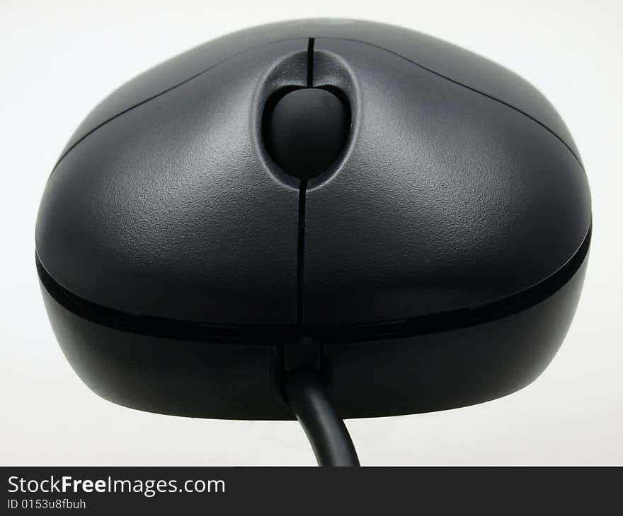 Black Mouse - frontal view