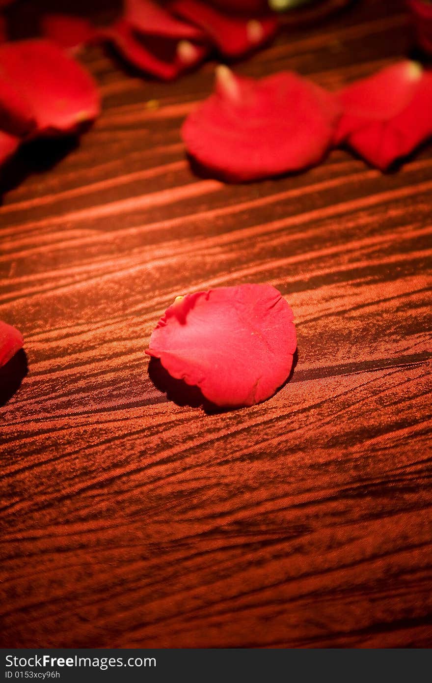 Red rose petals spread on the table for special occasion