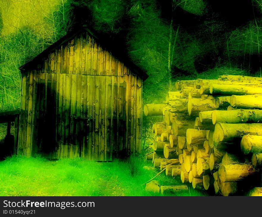 Old shed and log pile