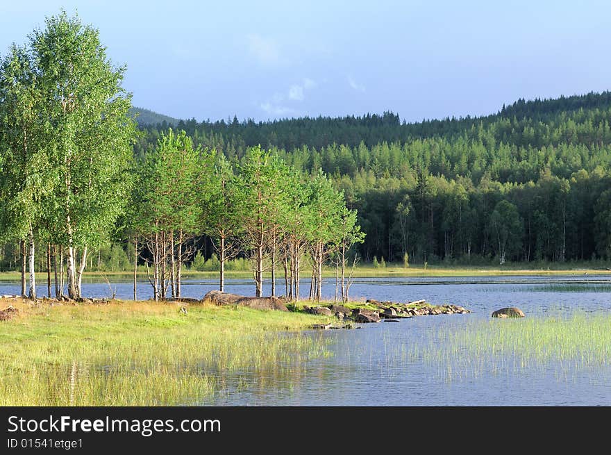 Lake With Trees