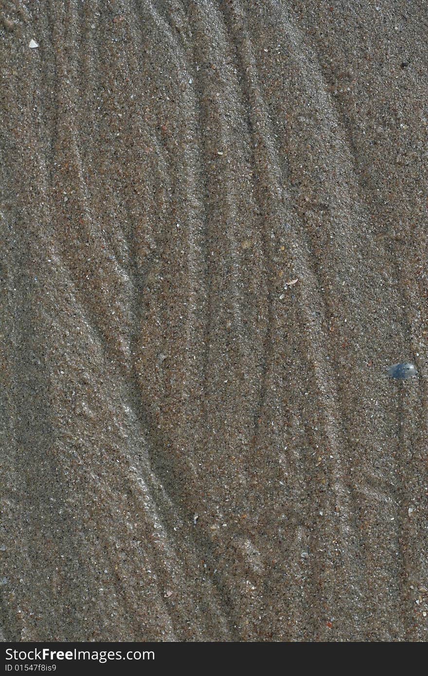 Macro shot of sand with water lines on it and pieces of shells. Macro shot of sand with water lines on it and pieces of shells.