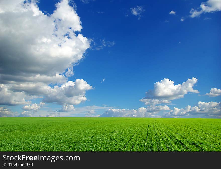 Field on a background of the blue sky