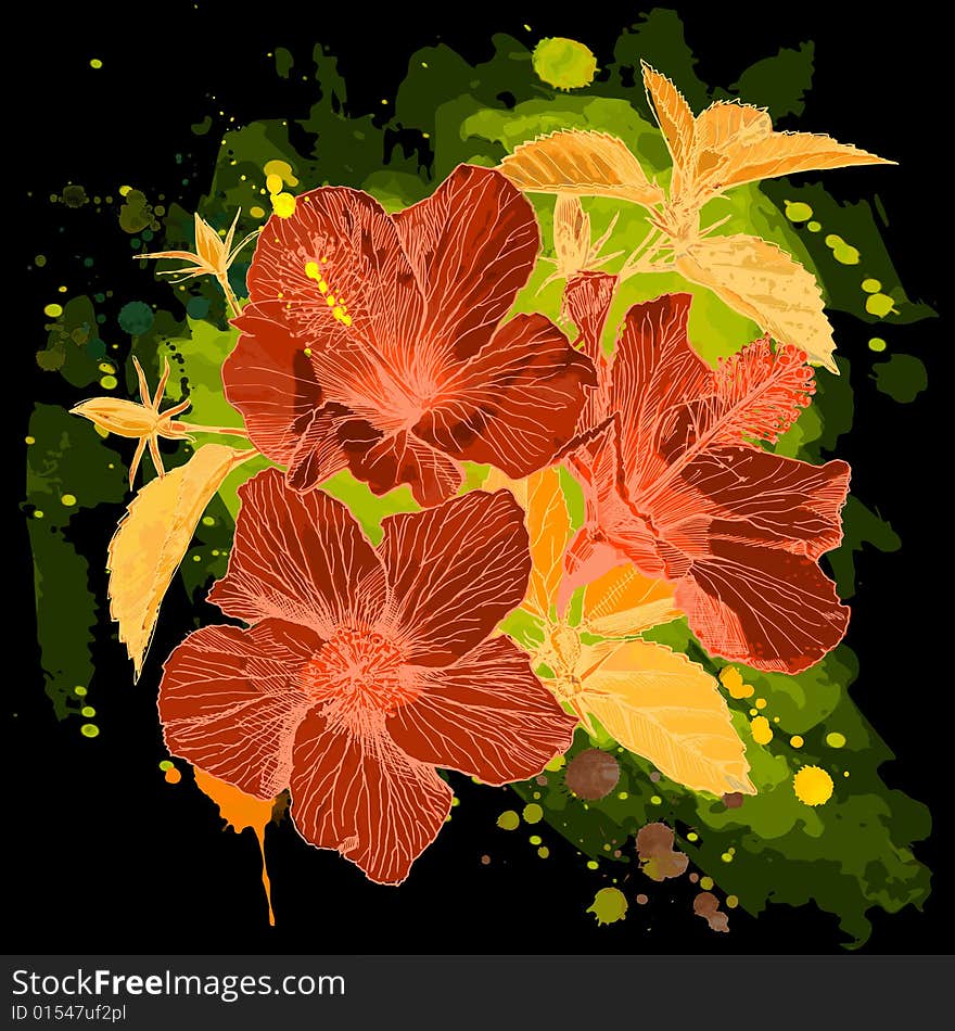 Hibiscus flower - vector watercolor paint. Elements on separate layers. Hibiscus flower - vector watercolor paint. Elements on separate layers