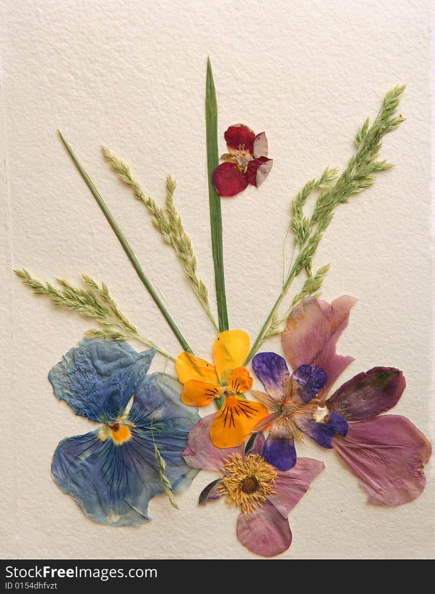 Dried pansies on handmade paper