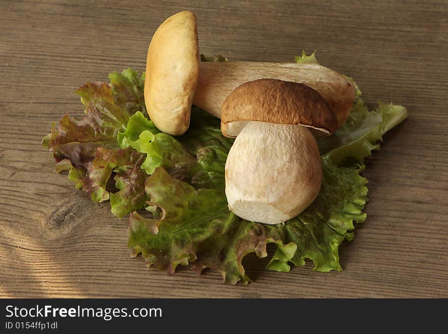 Mushrooms and lettuce on wooden background