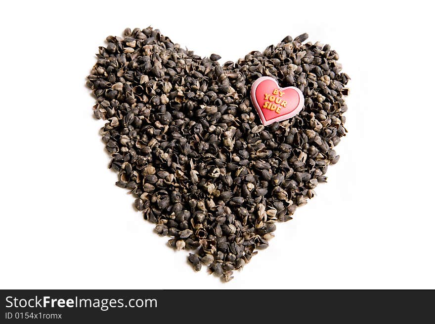 Heart For Seeds