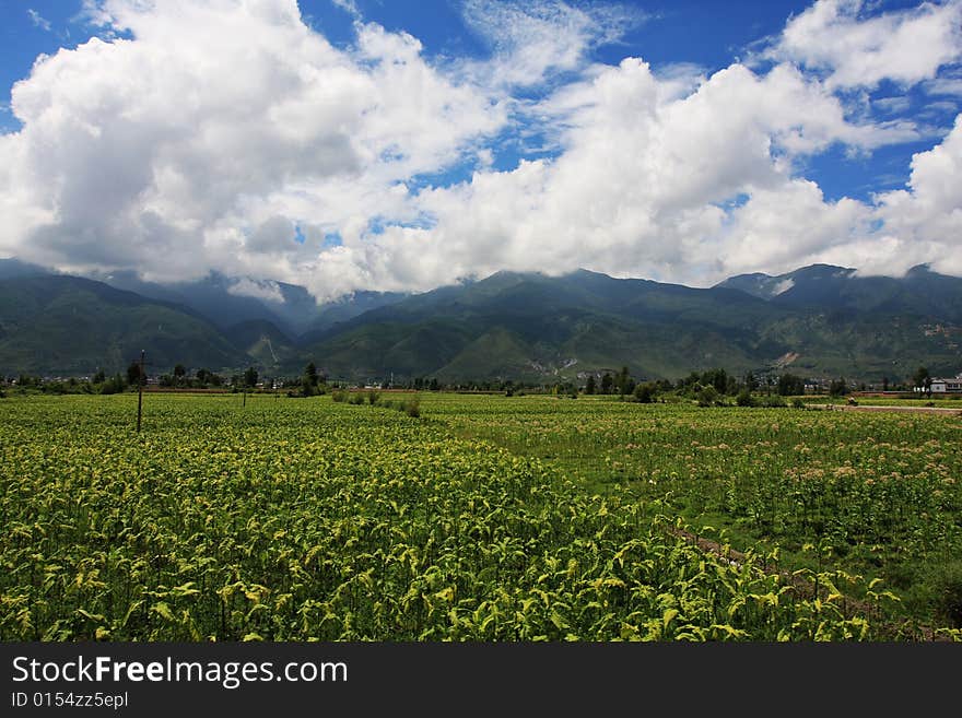 Beautiful countryside scenery in Dali city of china. Beautiful countryside scenery in Dali city of china