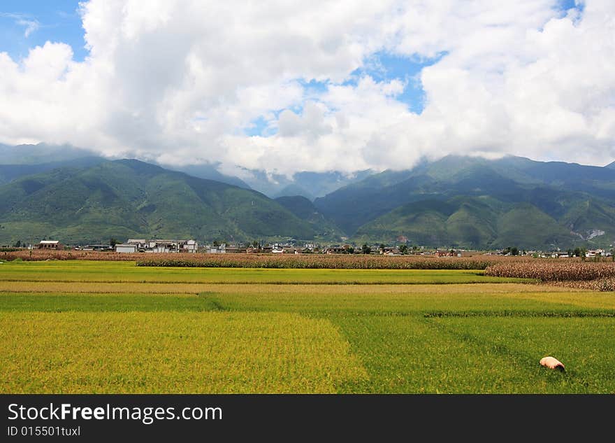 Rural scenery