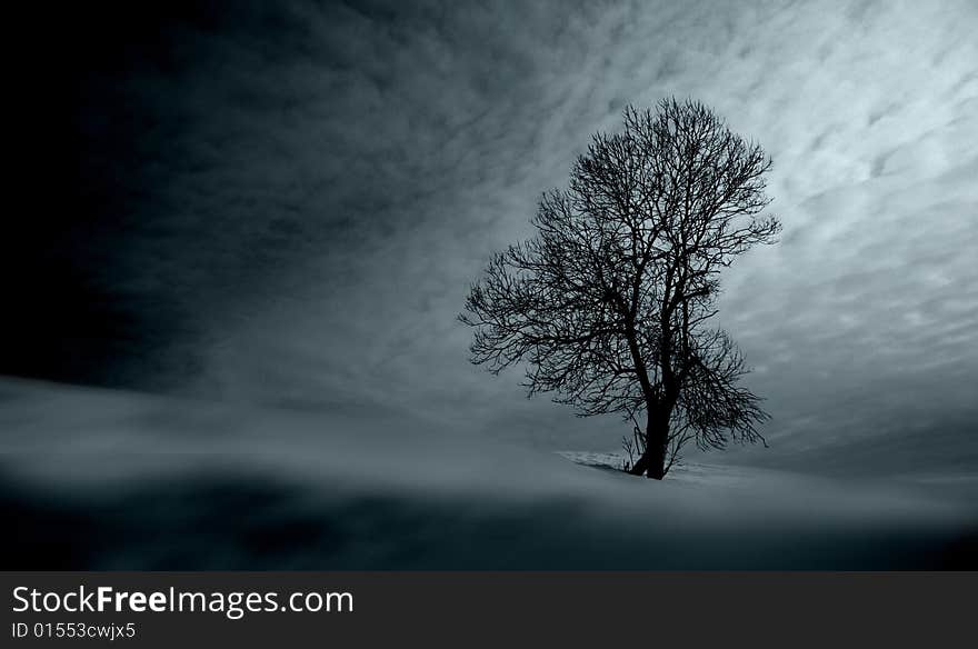 Tree in winter landscape - image editing. Tree in winter landscape - image editing