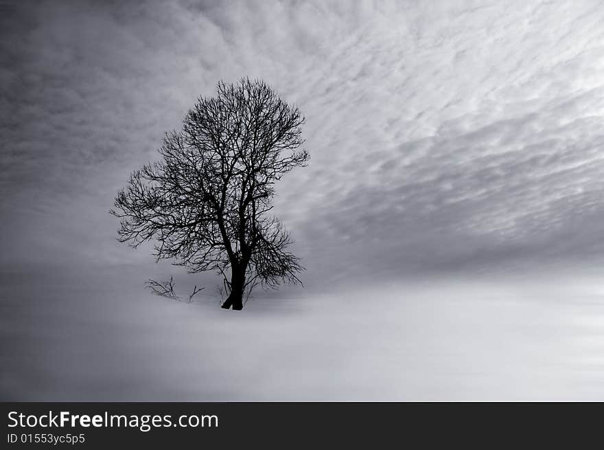 Tree in winter landscape - image editing. Tree in winter landscape - image editing