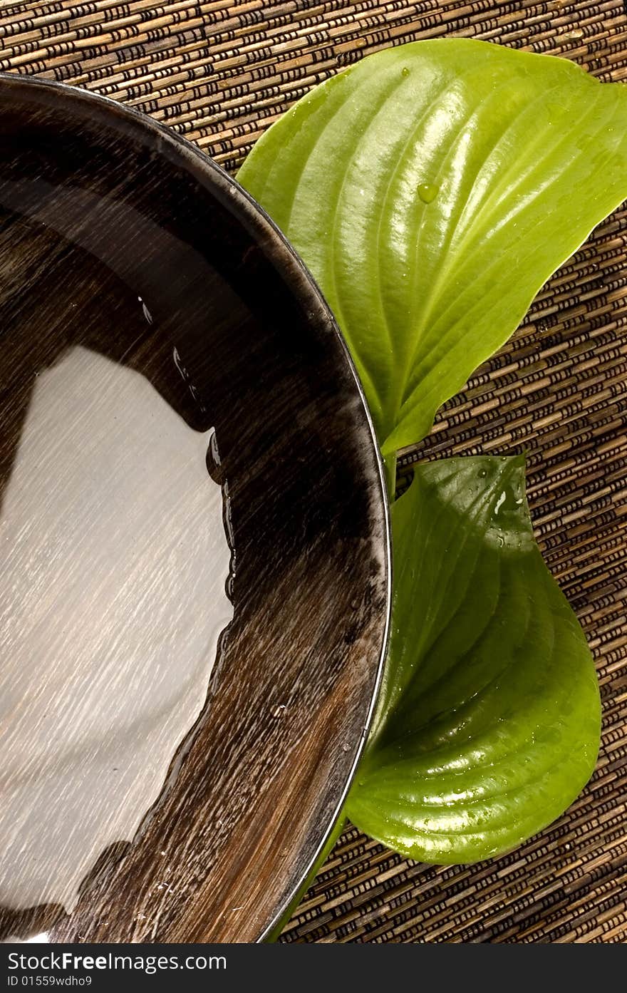 Plate with clear water and two fresh leaves. Plate with clear water and two fresh leaves