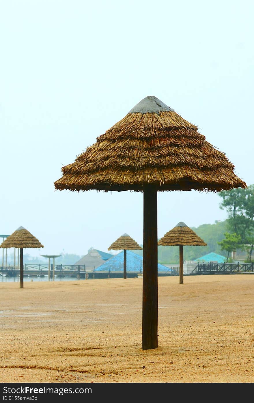 Beach Umbrella