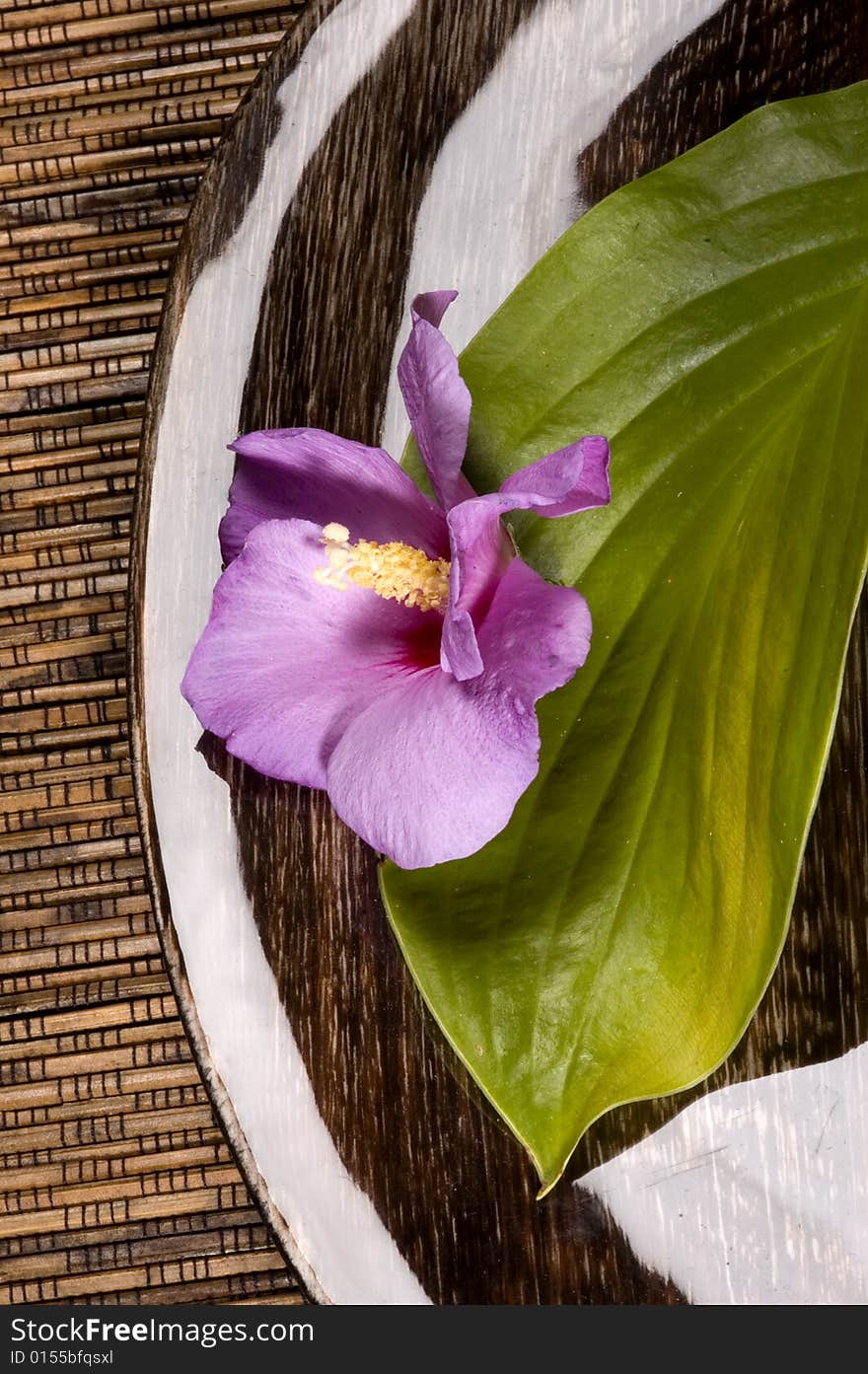 Designed plate with leaf and purple flower. Designed plate with leaf and purple flower