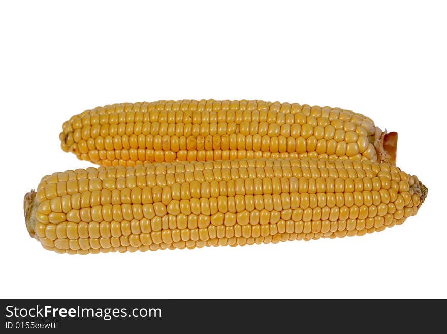 Two big corn cobs isolated on white background