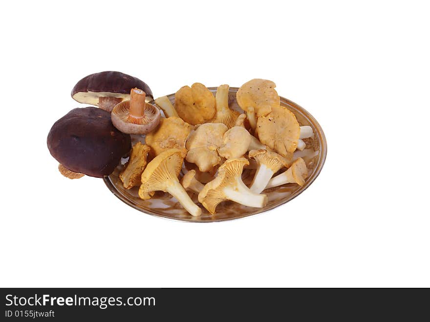 Fresh mushrooms on plate isolated on white background