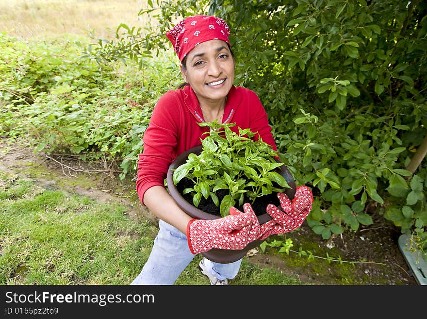 The woman is working in her garden. She is getting ready to plant more plants in the garden. Horizontally framed shot. The woman is working in her garden. She is getting ready to plant more plants in the garden. Horizontally framed shot.