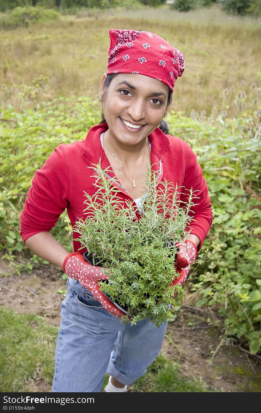 The woman is working in her garden. She is getting ready to plant more plants in the garden. Horizontally framed shot. The woman is working in her garden. She is getting ready to plant more plants in the garden. Horizontally framed shot.