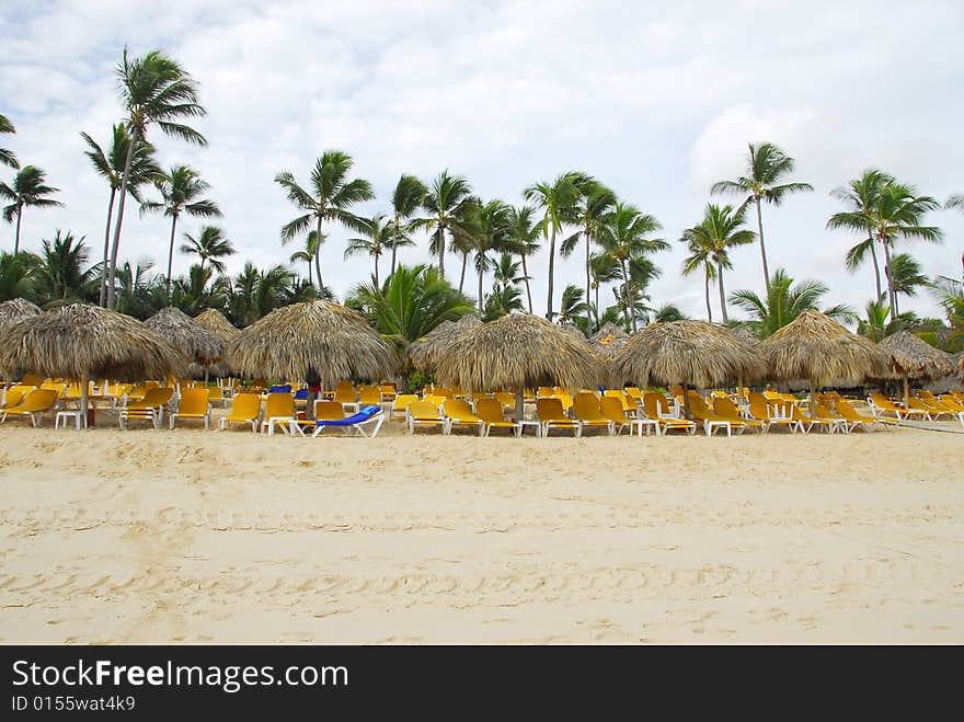 Empty loungers on a tropical beach with palm trees in Punta Cana, Dominican Republic. Empty loungers on a tropical beach with palm trees in Punta Cana, Dominican Republic