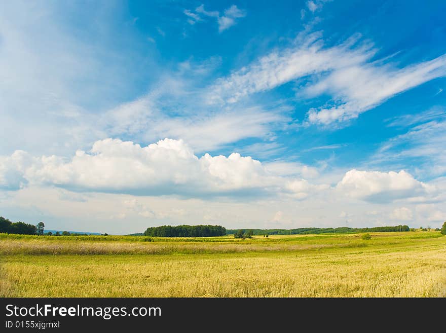 Sky and Wheat