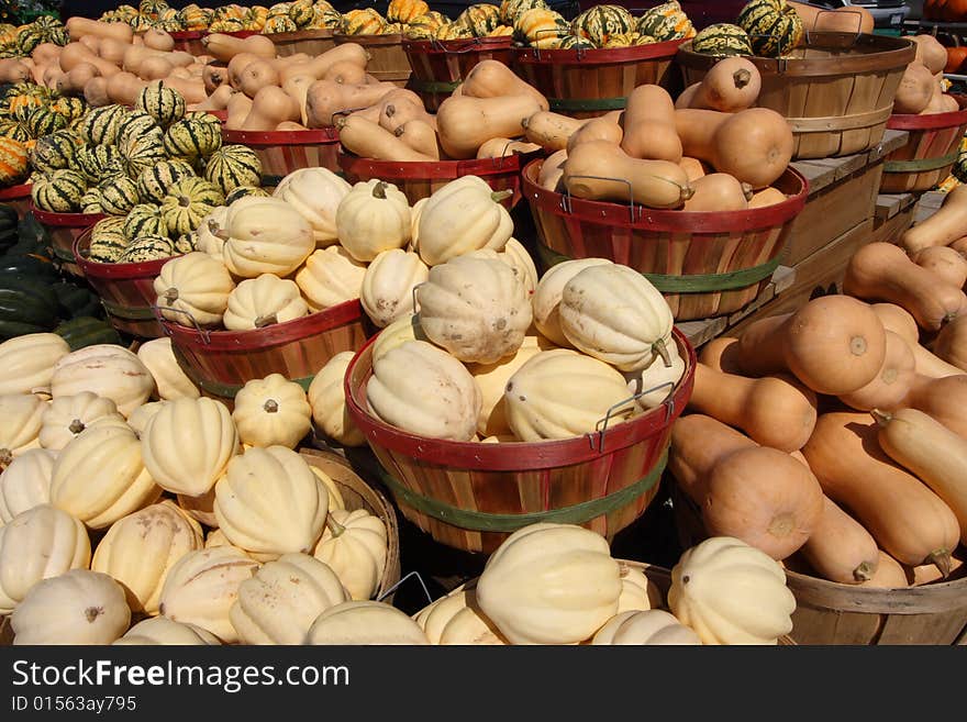 Autumn squash at a farm stand. Autumn squash at a farm stand