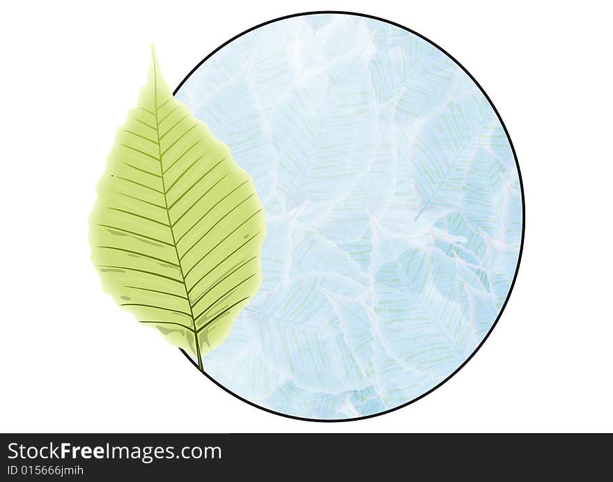 Green leaf badge in white background - best for ecological related design works,